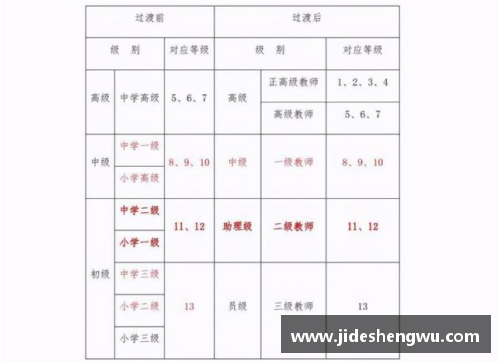 体育标准等级划分？(体育教师职称级别有哪些？)